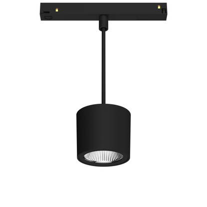 NeoORYO 100 | Track-Mounted Pendant | 48 V #1